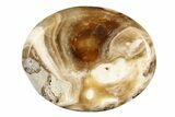 1.7" Polished Chocolate Calcite Worry Stones - Photo 3